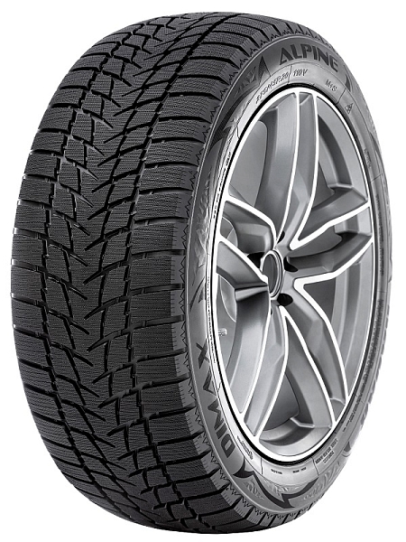 205/55 R 17 DIMAX ALPINE 95V XL RFP 
